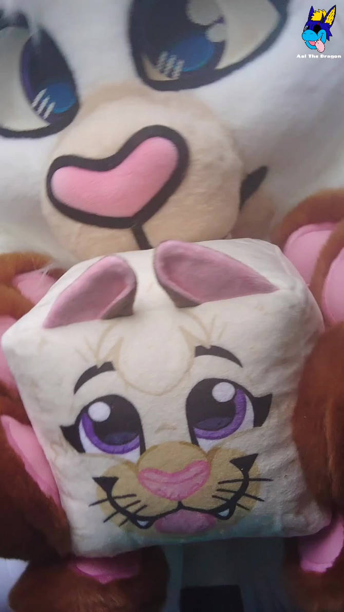 Aoi and Amai Box Plushies! by AoiTheDutchie on DeviantArt