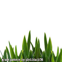 Grass Pattern