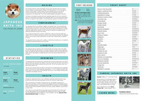 Japanese Akita Inu Factsheet