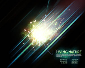 Living Nature - Mixed