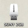 SONY USB stick Icon