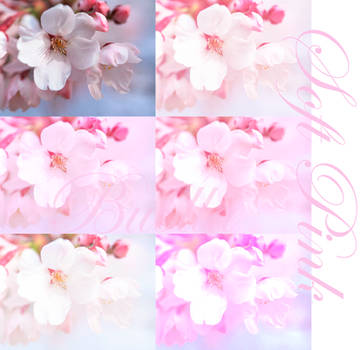 Soft Pink Photoshop Actions