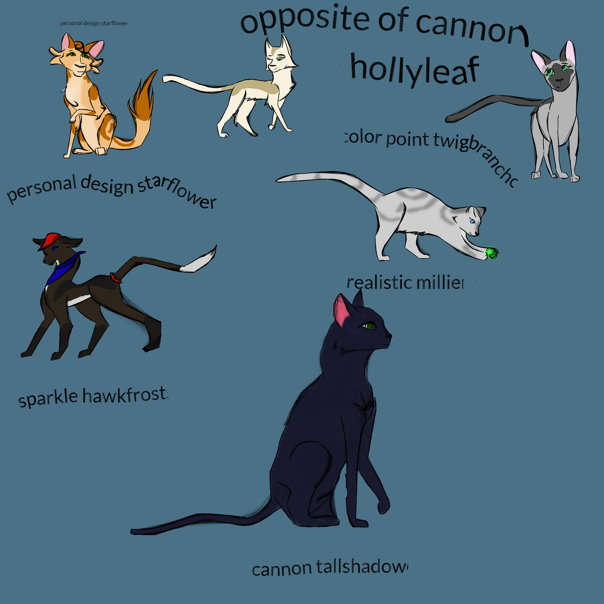warrior cat design challenge by spectorwing on DeviantArt