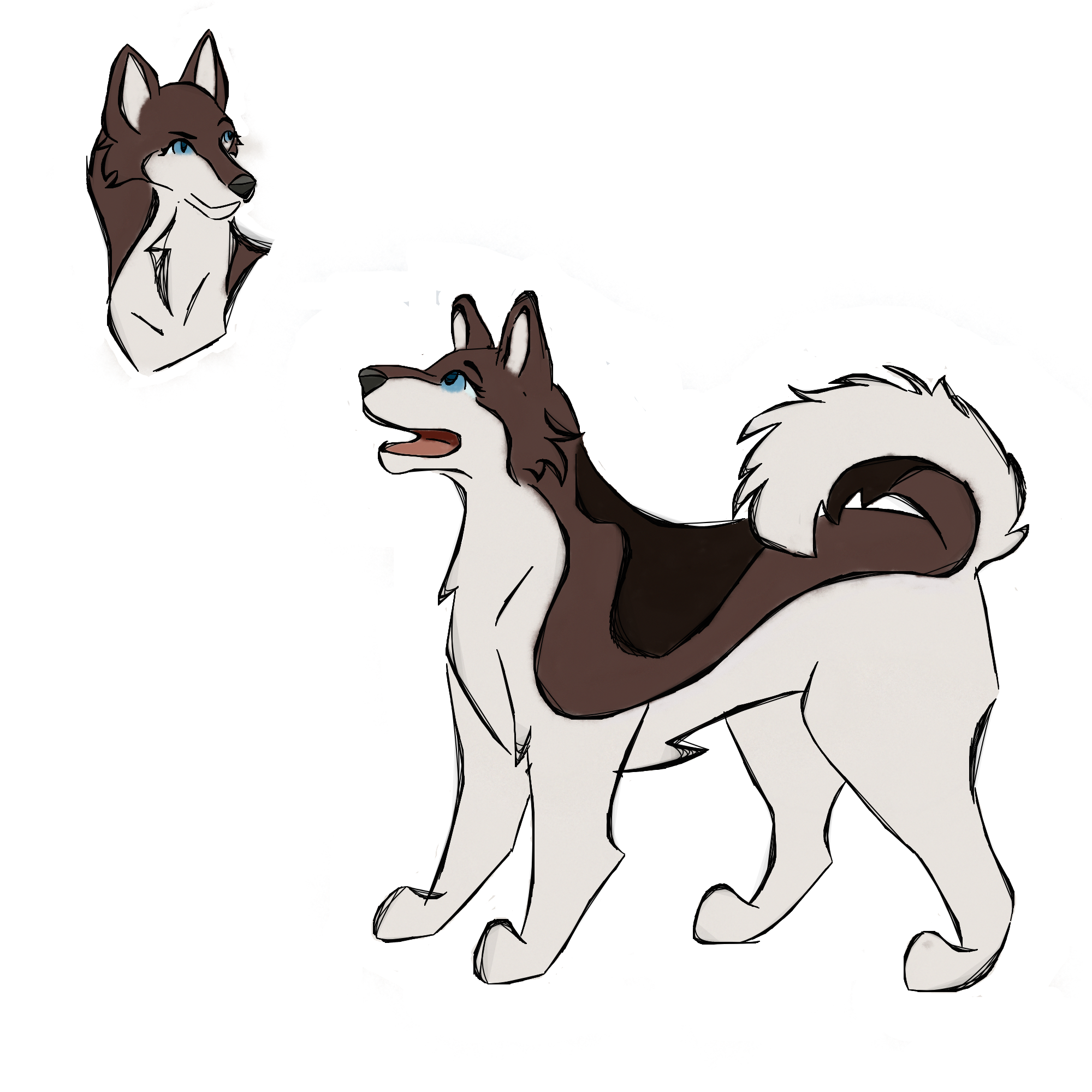 rocky ref sheet by spectorwing on DeviantArt