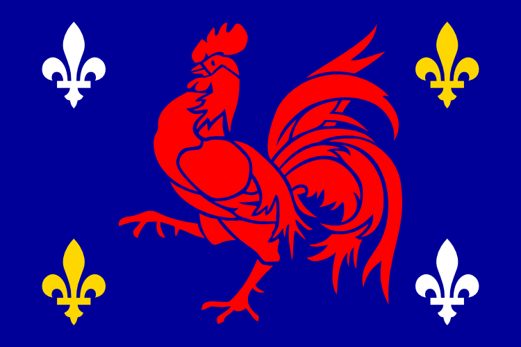 Почему петух символ. Галльский петух Франции. Галльский петух символ Франции. Национальный символ Франции. Le coq символ Франции.