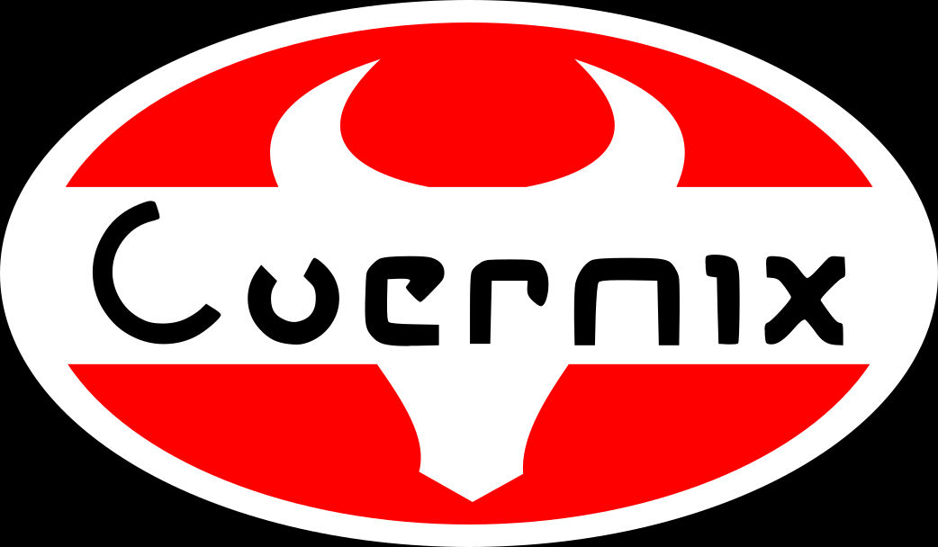 Final Fantasy Xv Coernix Logo Regalia Decal By Inertspark On Deviantart