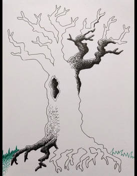 Video - The Drawing of a Tree