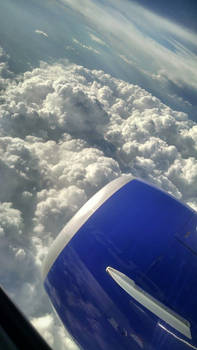 Flight