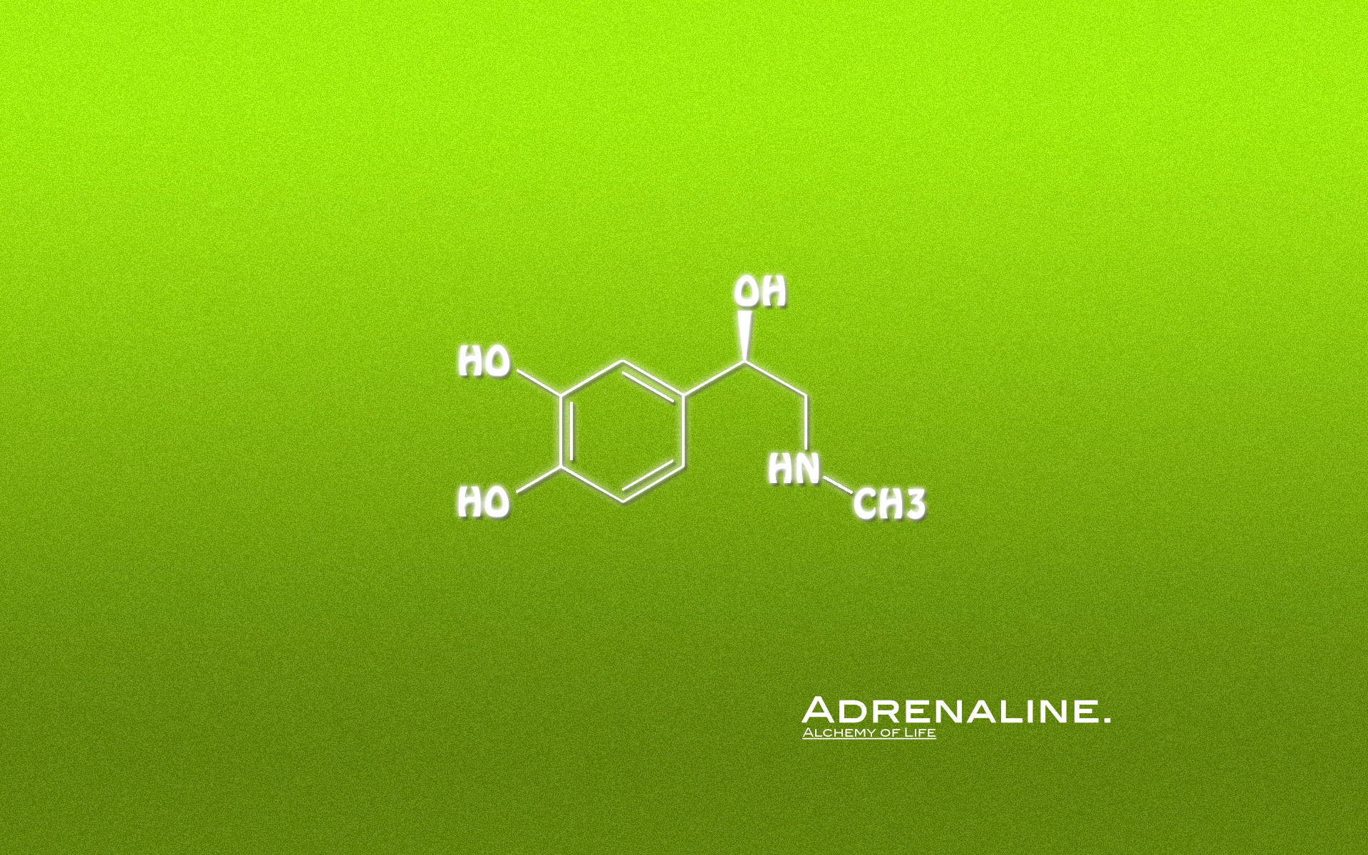 Alchemy Of Life - Adrenaline