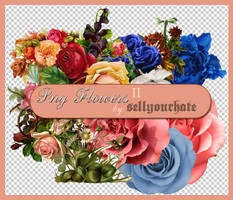 PNG's: Flowers II