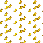 Duck season