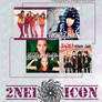 2NE1 Icon Set