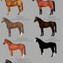 2018 Racing Adopts!