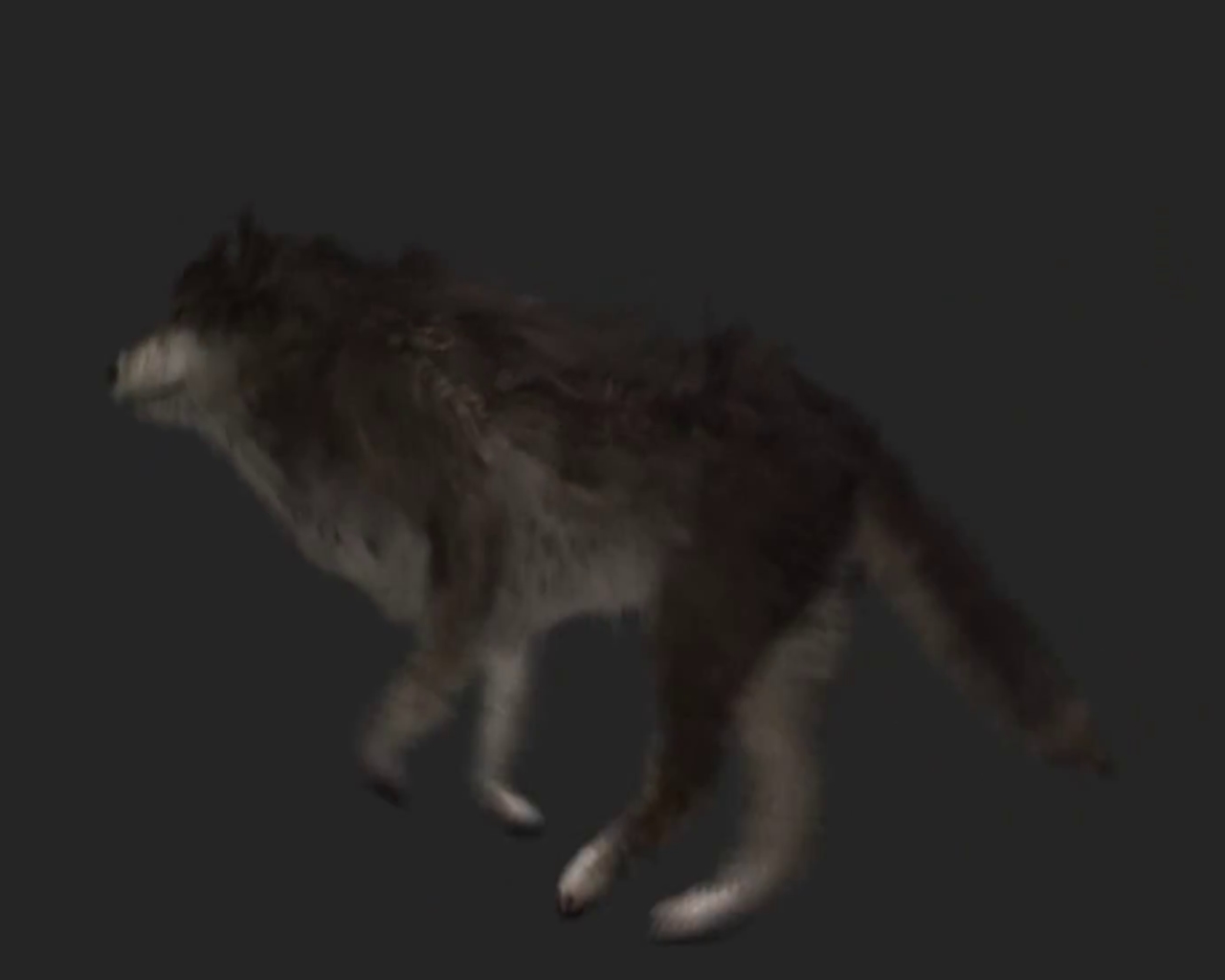 wolf running with particle fur