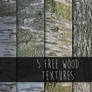 5 free wood textures