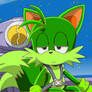 My brother in Sonic X style