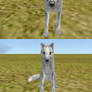 FH-CANINE TEXTURE *NEW*