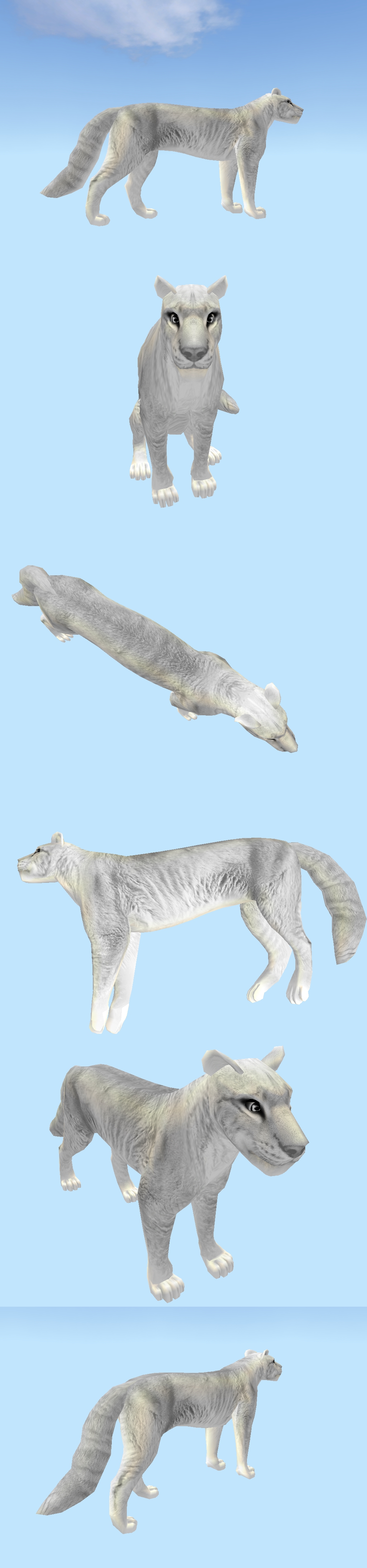 Free thick and puffy feline texture!!!