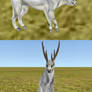 DEER TEXTURE for FeralHeart