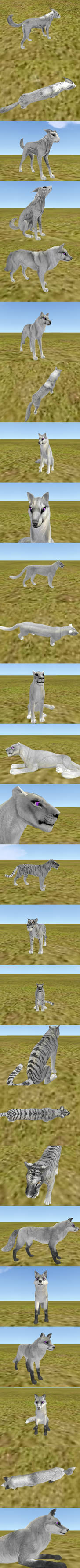 Texture pack-lion-tiger-fox-wolf-griffin