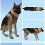 German Shepherd X3 PACK