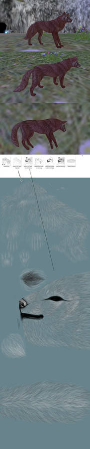 Texture for FH canine model