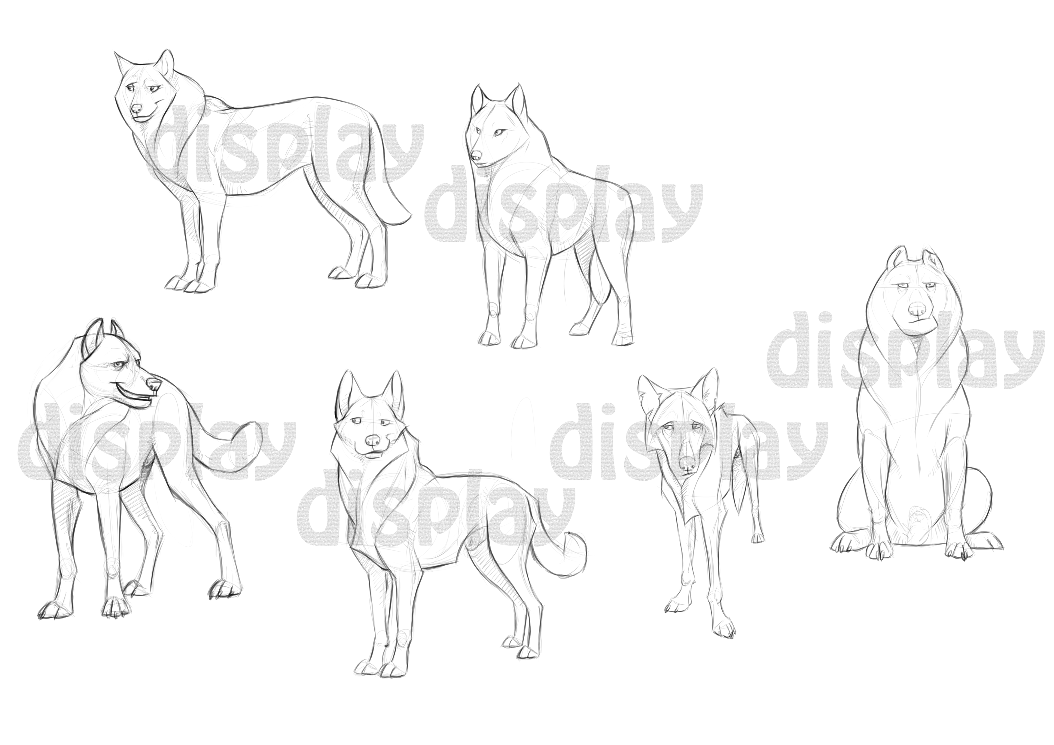 WOLF CHARACTERS + psd