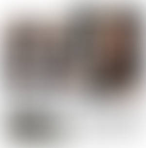 Template 66
