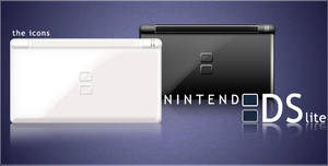 Ds Lite