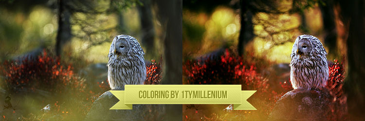 coloring 6 by 1tymillenium