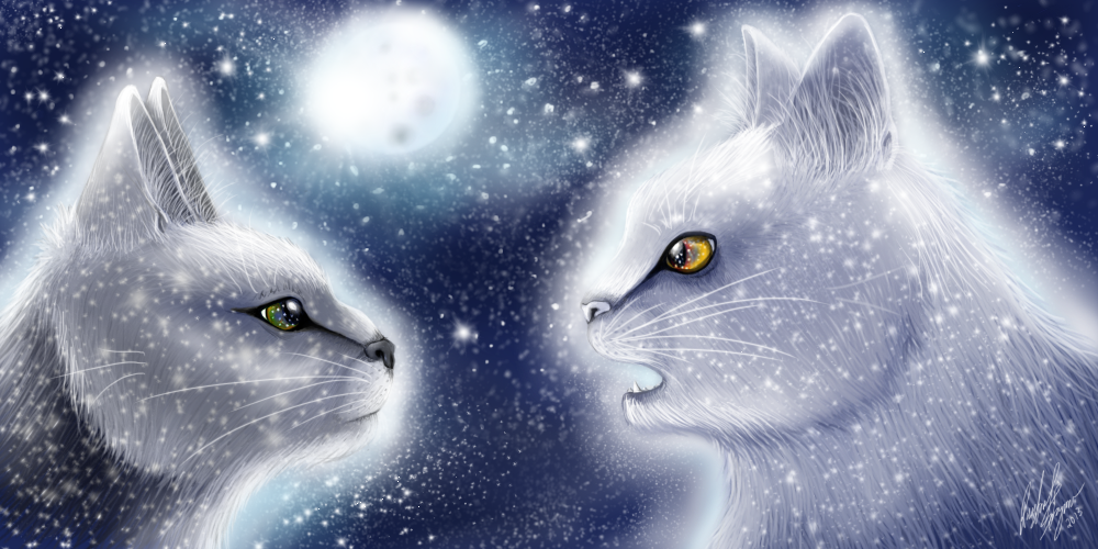 A Prophecy from StarClan