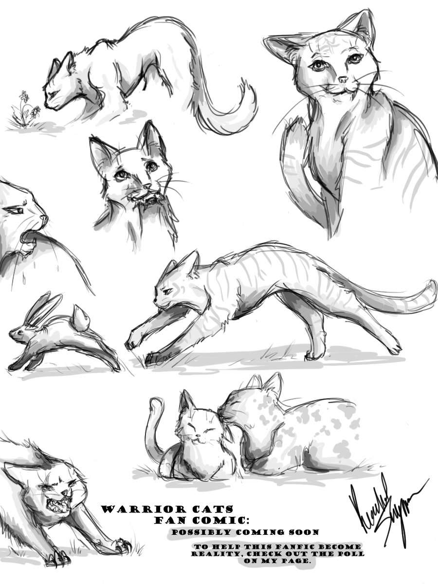 Warrior Cats FanComic Sketches