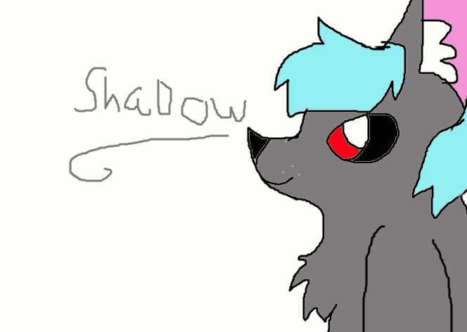 shadow the wolf by flowerpetallilypetal on DeviantArt