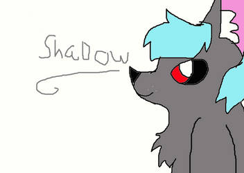 shadow the wolf