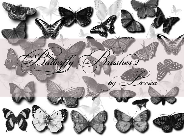 Butterfly Brushes Set 2 by Lavica-Photoshop on DeviantArt