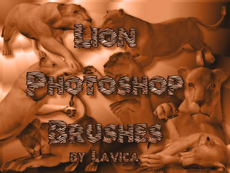 Lion Brushes