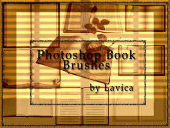 Book brushes