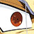 Pegasus loses