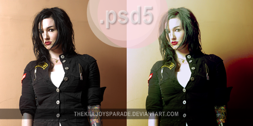 psd 5 by thekilljoysparade on DeviantArt