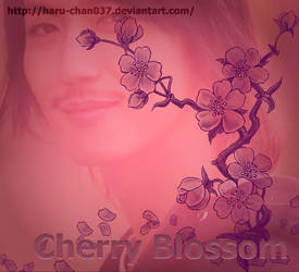 cherryblossoms