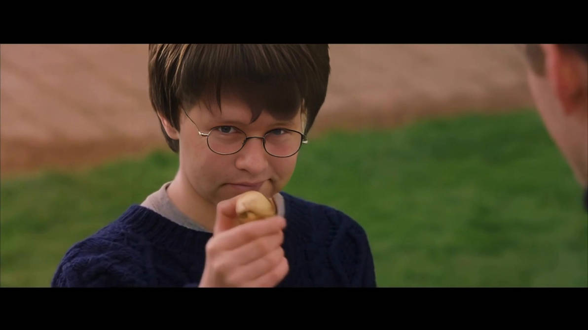 Literally Me Here, Harry Potter with Golden Snitch by DarksealStudios ...