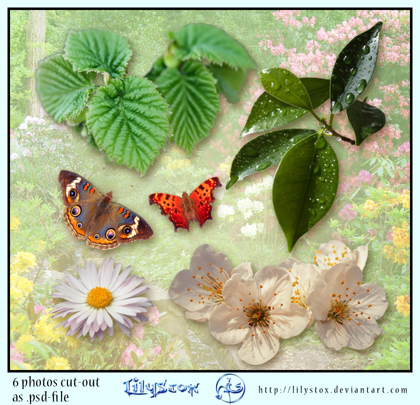 Spring Pack - 6 Images .psd by LilyStox on DeviantArt