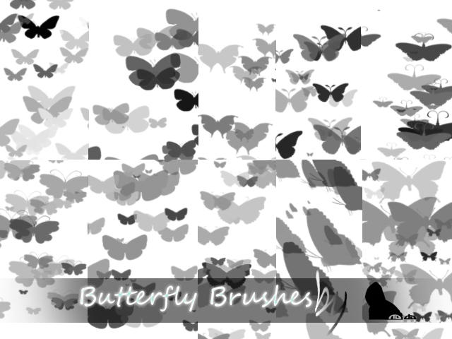 Butterfly Brushes by nainasamima on DeviantArt