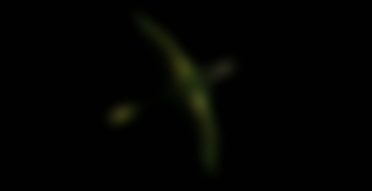 MMD Light Arrow (BoTW) / Light Bow (TP) [+Dl] by xAleeee on DeviantArt