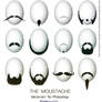 Moustache Brush set