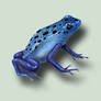 Blue Poison Dart Frog PSD