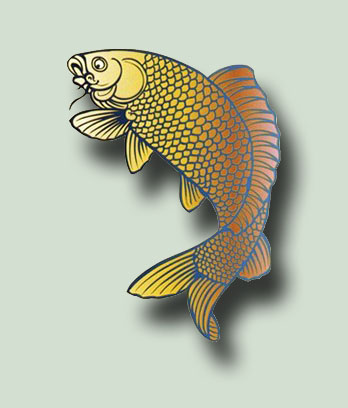 Koi Fish 1 PSD