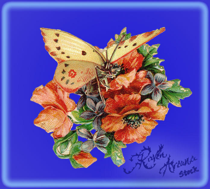 Butterfly Flower Vignette PSD by ravenarcana on DeviantArt