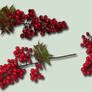Red Berries Pk PSD