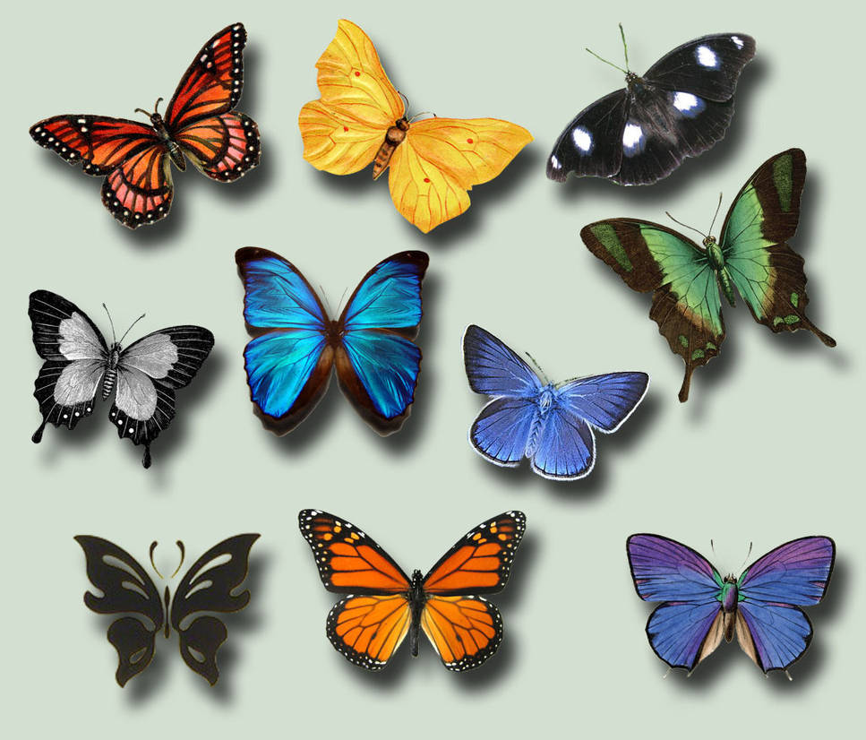 Butterflies .PSD Pack by ravenarcana on DeviantArt
